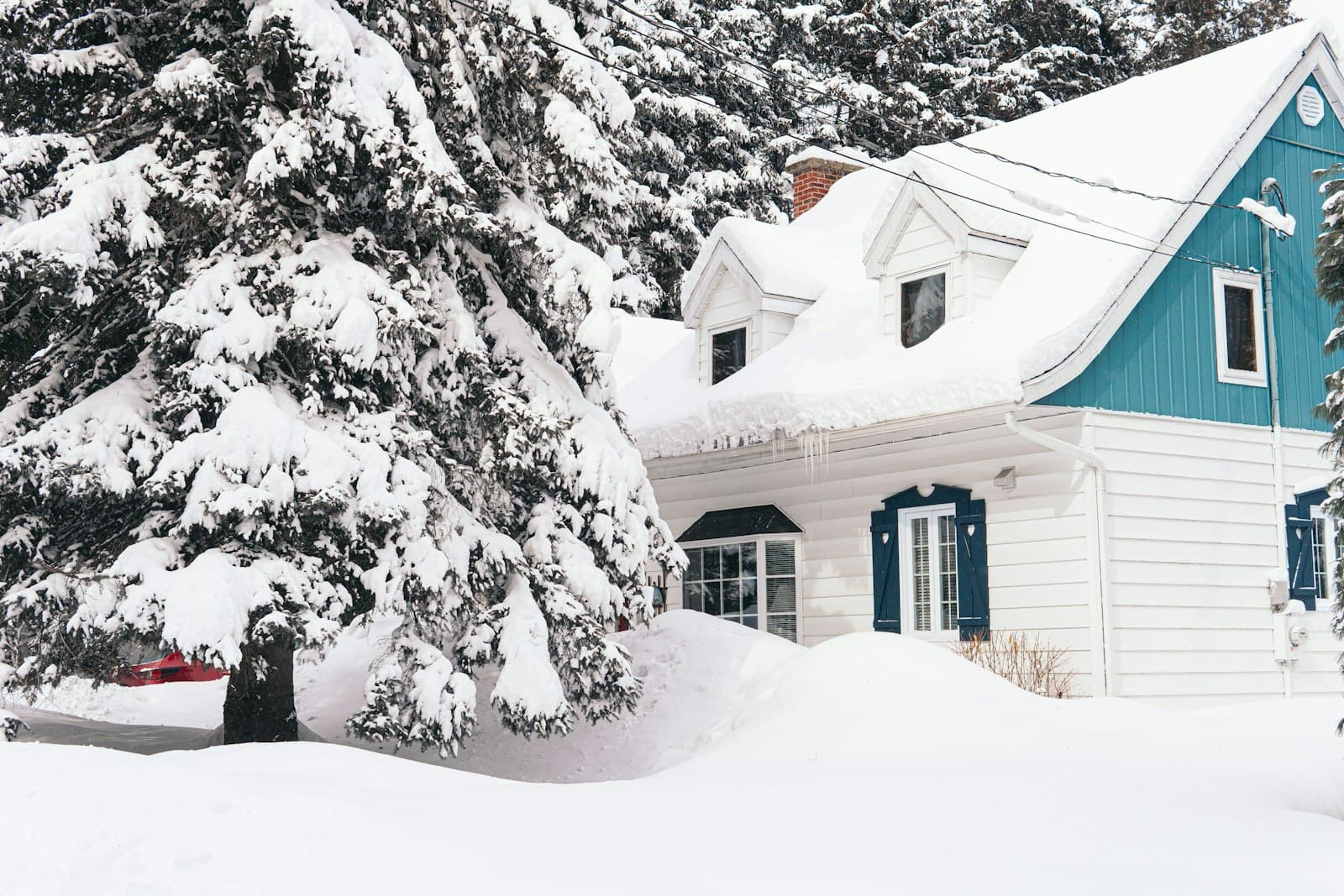Snow-covered brown house among trees in winter