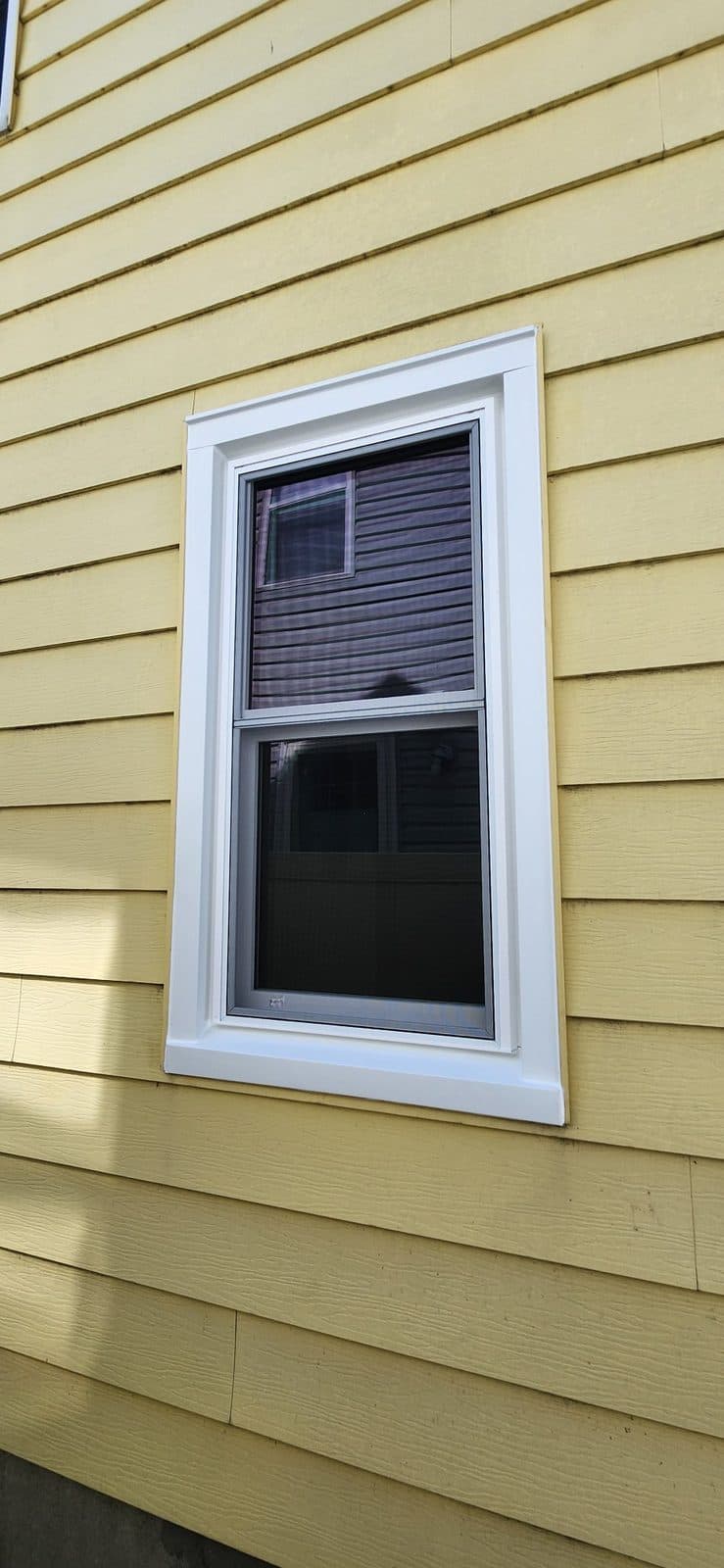 New white double-hung window with crisp aluminum capping in yellow lap siding